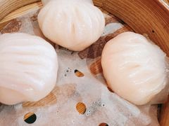 -咖啡苑 - 蔚藍夏日主题(永利皇宫店)