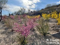 -白水寺森林公园