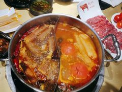 -手选潮汕鲜活牛肉火锅(二七广场店)