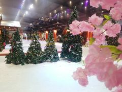 -宁波冰雪大世界(北仑区)