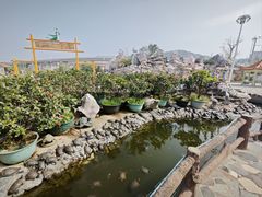 -八景休閒山莊  廣東十大名山莊