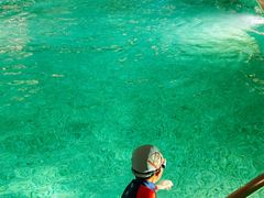 -丽思卡尔顿酒店泳池(金融街店)