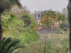 -咸宁万豪温泉谷度假区