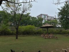 -泉州海丝野生动物世界