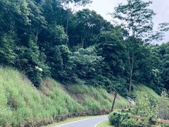 -阳台山森林公园