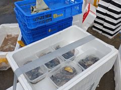 -东方鼎信农副产品交易中心