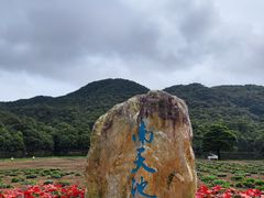 -广州市石门国家森林公园
