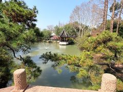 -上海醉白池公园