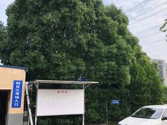 -光明驾校·学车·陪驾(杨浦店)