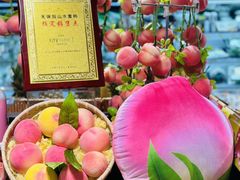 -city'super超·生活(国金中心商场店)