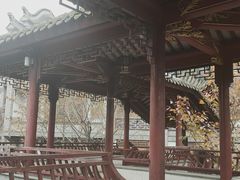 -龙潭水乡