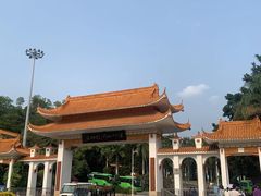 -深圳仙湖植物园