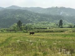 -艾溪湖湿地公园