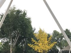 -西安市长乐公园