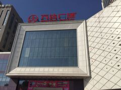 -天鹅恋