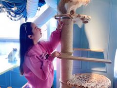 -遇见羊驼·奶狗咖·布偶猫咖·法斗柯基柴犬阿拉斯加(春熙路太古里IFS店)