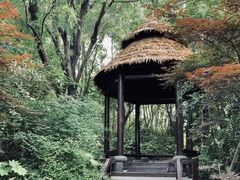 -新江湾城公园