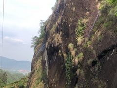 -文雅轩茶叶(锦和越界田林坊店)
