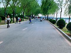 -丁香湖公园