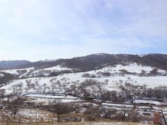 -塞罕坝国家级自然保护区