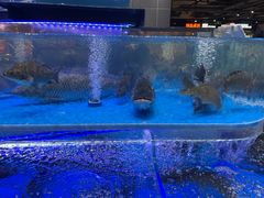 -永辉超市(嘉定宝龙广场店)