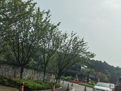 -铁山坪森林公园