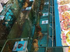 -范饭椰林川湘味海鲜·椰子鸡(三亚湾椰梦长廊店)