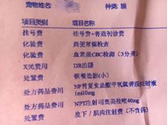 -宠福鑫动物医院(立水桥分院)