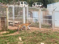 -青藏高原野生动物园