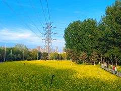 -长白岛森林公园