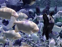 -成都浩海立方海洋公园