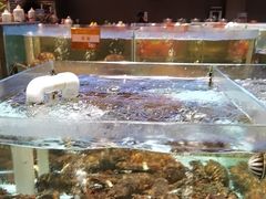 -国惠大酒楼(仓山万达店)