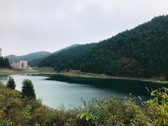 -武陵山森林公园