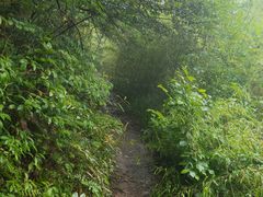 -东白山