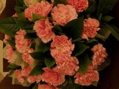 android_upload_pic-盛世荣兰花艺