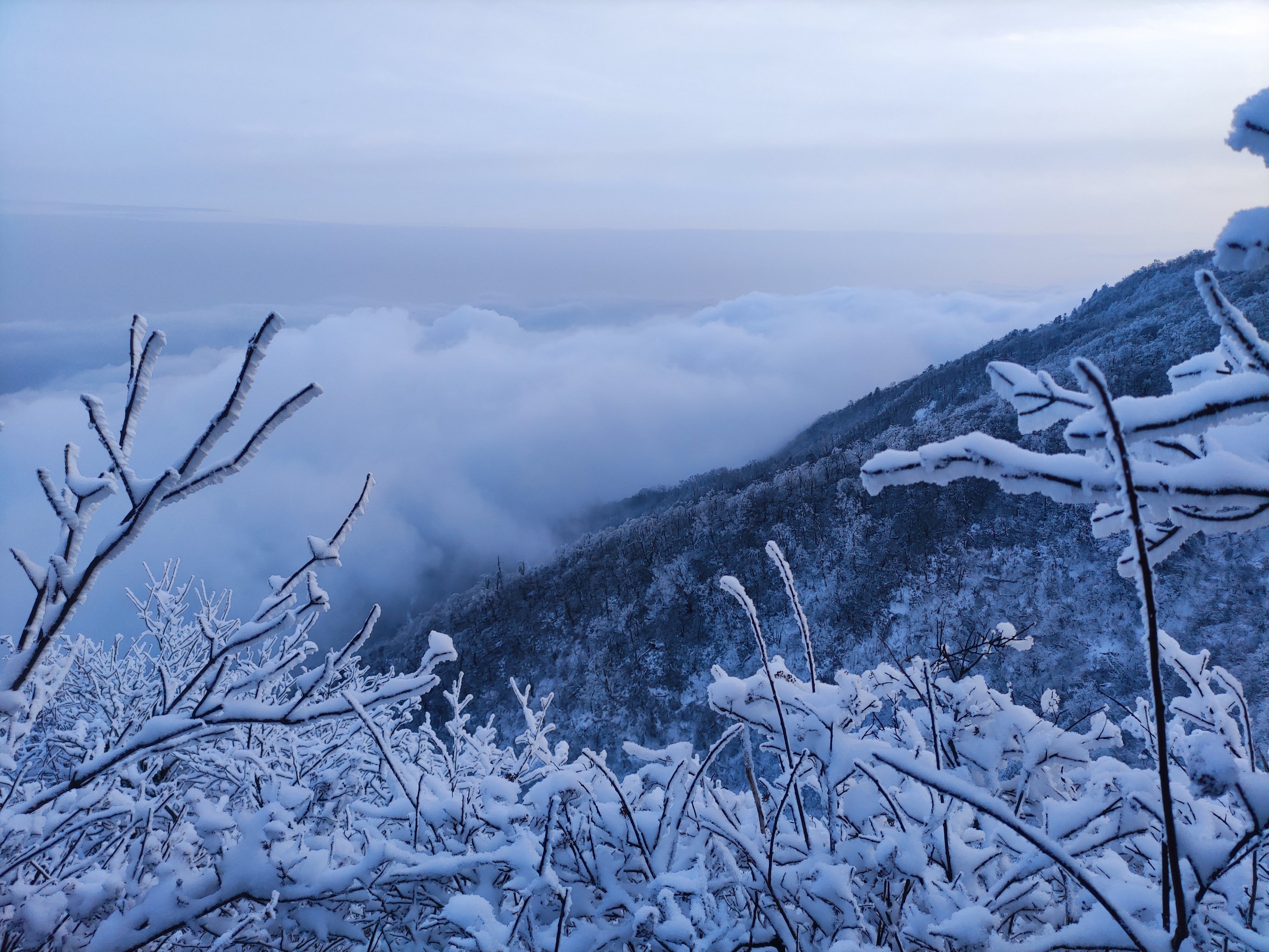 皑皑白雪,若浮云间图片