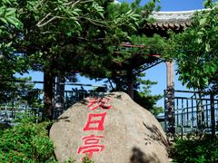 -六里坪国家森林公园