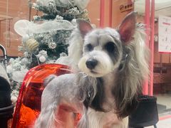 -FAELING PETS美天灵宠物(合生汇店)