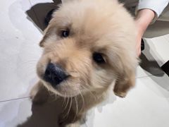 -奇门密室(五一新干线店)