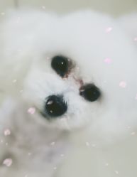 -煊私人定制美发会所