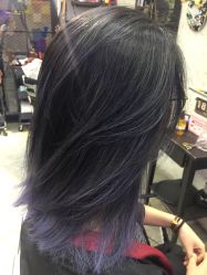-SALON V