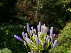 -上海市惠民中学