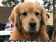 -新享乐海鲜(翠华路店)