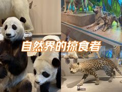 -1868 Café(上海自然博物馆店)