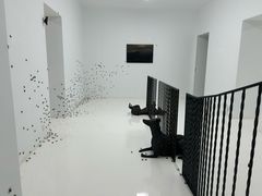 -胶囊画廊