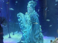 -沈阳海洋探索中心