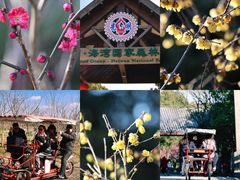 -上海海湾国家森林公园