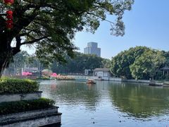 -荔湾湖公园