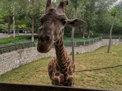 -石家庄市动物园