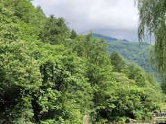 -牛背梁国家森林公园